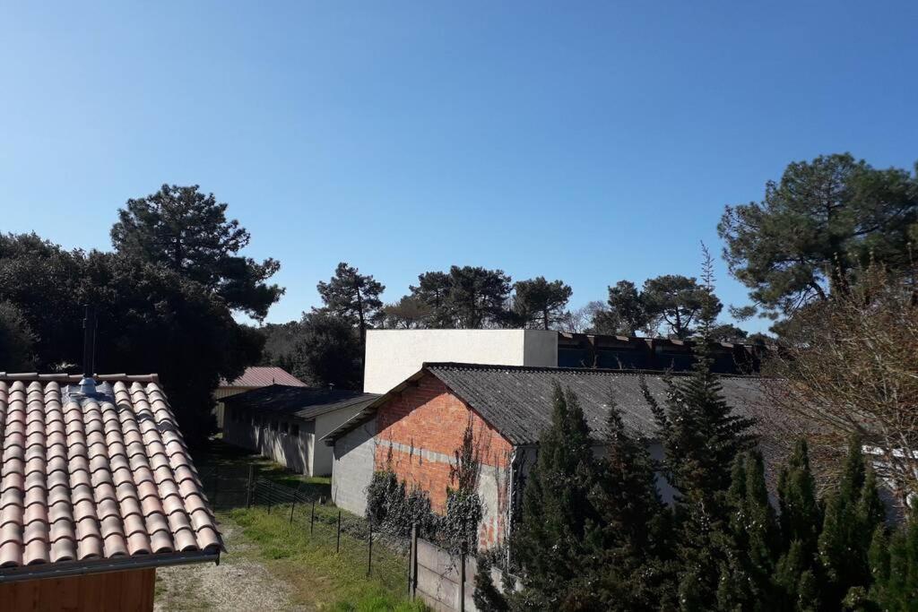 Grand Appartement Avec Jardin Soulac Centre Du Samedi Au Samedi Exterior foto